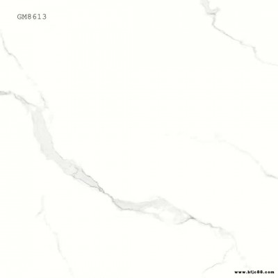 精雕大理石瓷磚 連紋大理石瓷磚800X800