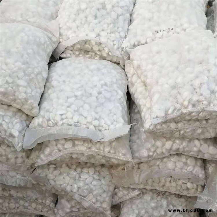 廠家供應珊瑚砂 珊瑚骨 造景景觀石 燕國礦產