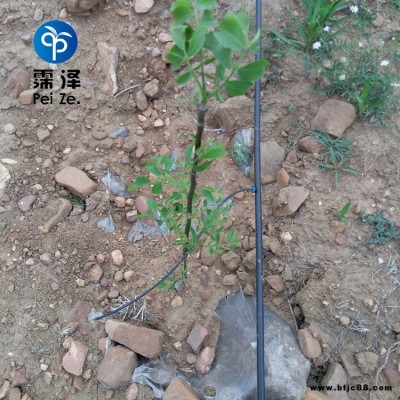 山西陽泉園藝滴灌霈澤20L穩流器20PE管廠家