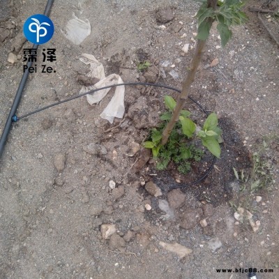山西忻州果樹滴灌霈澤50L穩流器農田灌溉PE管廠家
