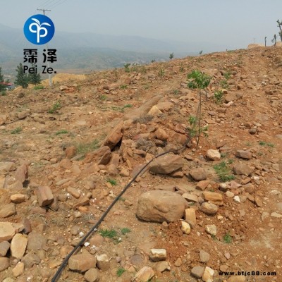 山西陽泉果樹滴灌霈澤壓力補償滴頭20PE管廠家