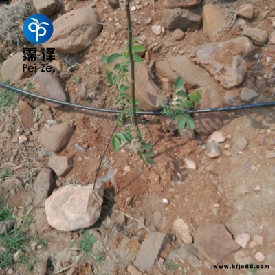 山西陽泉園藝滴灌霈澤壓力補償滴頭20PE管廠家