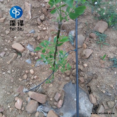 山西果園節水灌溉霈澤壓力補償滴頭農用輸水PE管