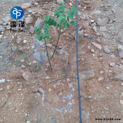河南果園節水灌溉霈澤50L穩流器農用輸水PE管廠家
