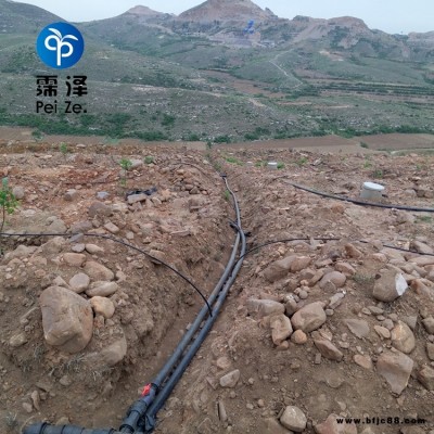 陜西渭南果園節水霈澤可調節滴頭農田灌溉PE管價格