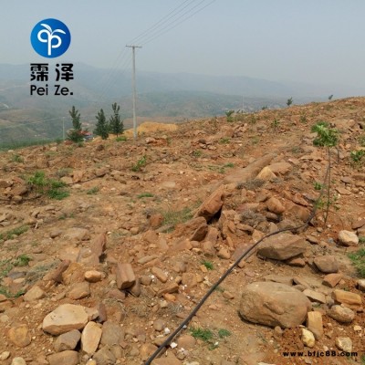 石家莊藁城果園節水霈澤壓力補償滴頭農田灌溉PE管廠家