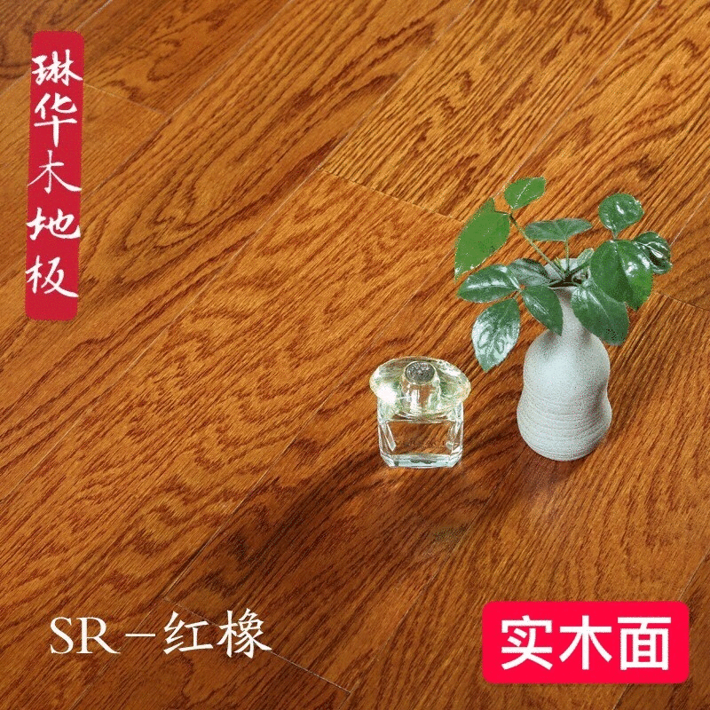 紅橡GIF圖