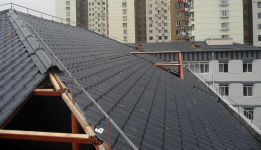 合成樹脂瓦 助力美麗鄉村建設示例圖4