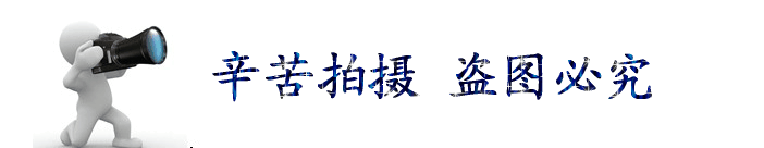 現(xiàn)貨出售 熱軋鋼板 韶鋼SS400優(yōu)質(zhì)鋼板 建筑裝飾專用中厚板示例圖2