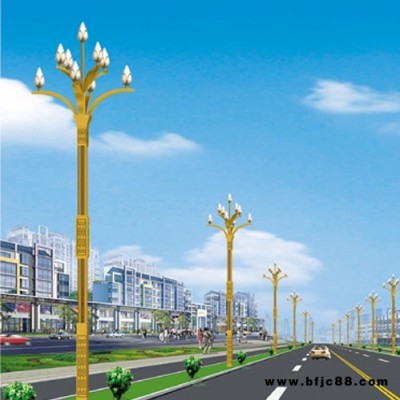 廣宇星 道路景觀燈價(jià)格 - 2.5米景觀燈 專(zhuān)業(yè)承接照明景觀設(shè)計(jì) 免費(fèi)提供設(shè)計(jì)