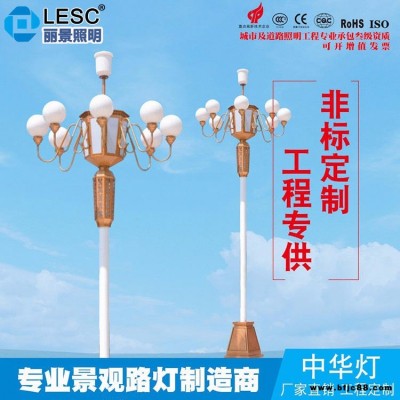 宇泉熱銷可定制  廣場大型led景觀燈  戶外市政園林道路中華景觀燈