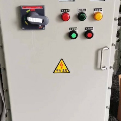 防爆配電箱定做接線箱照明動力開關插銷插座檢修箱儀表控制配電柜