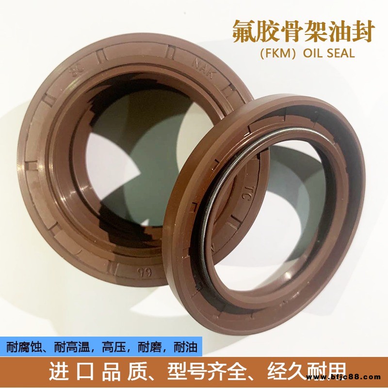 雙唇TC氟膠骨架油封旋轉(zhuǎn)油封氟膠骨架密封件可定制