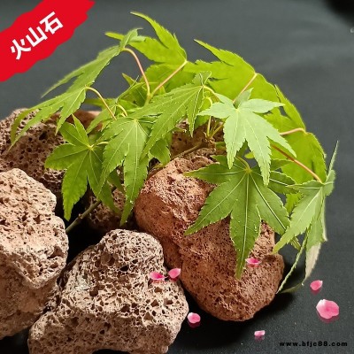 供應(yīng)火山石 濾料 磨料 建筑材料 紅褐色黑灰色火山熔巖