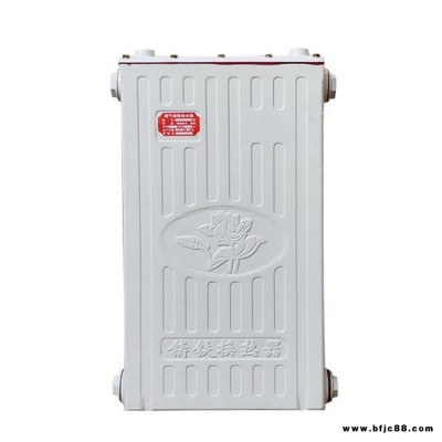 即熱式鑄鐵暖氣換熱器,黑龍江鑄鐵暖氣換熱器,家用暖氣熱水器