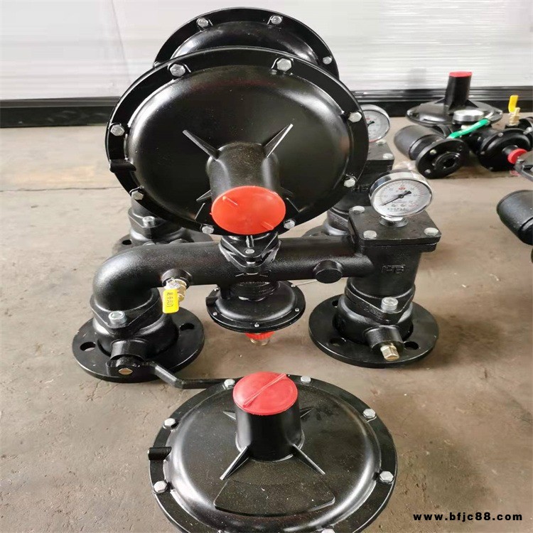 G型燃氣調(diào)壓器 棗強 燃氣調(diào)壓器 過濾器換熱器 負責(zé)設(shè)計制作安裝