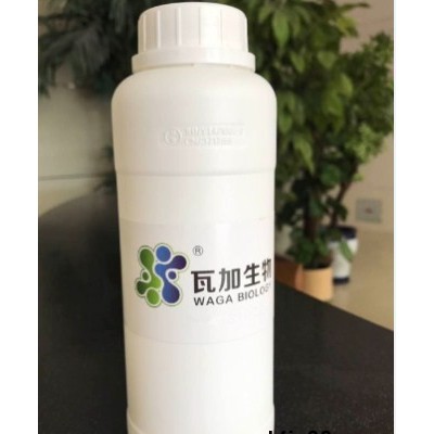 四川直銷水性木器漆專用抗菌劑哪家好 誠信為本 上海瓦加生物科技供應(yīng)