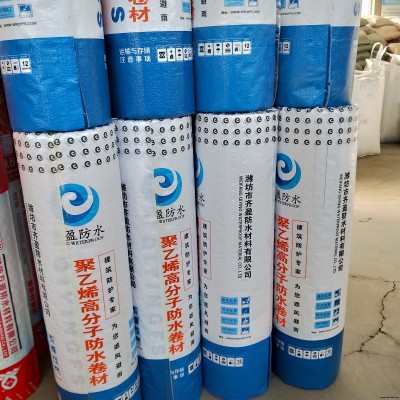 山東齊盈防水 聚乙烯丙綸防水卷材涂料價格 衛生間防水材料 防水防潮