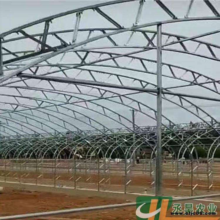 雙膜骨架 溫室大棚骨架 丞昊農業直銷 大跨度雙膜大棚 雙膜骨架暖棚 鍍鋅C型鋼
