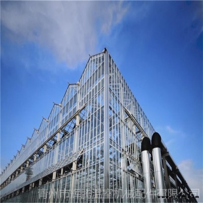 雙拱雙膜智能溫室大棚 雙拱雙膜溫室造價 雙拱雙膜溫室工程 旭航8