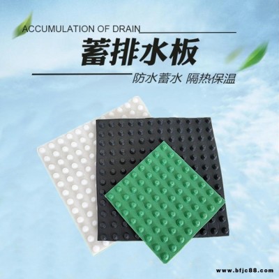 甘肅車庫排水板廠家 大林土工生產(chǎn)銷售復(fù)合排水板 地下室車庫頂板用的排水板 價(jià)格實(shí)惠質(zhì)量好