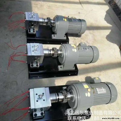 溶體泵 耐高溫熔體泵 熔噴布計(jì)量泵 擠出機(jī)專用齒輪泵 熱熔膠泵 噴絨布膠泵GTR-20cc布計(jì)量齒輪泵 -泊遠(yuǎn)東