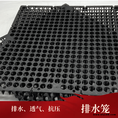 湖南 凸殼式排水板 排水板規(guī)格 車庫(kù)排水板廠家  供貨穩(wěn)定 經(jīng)久耐用