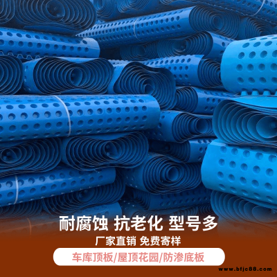 頂板排水板   綠化排水板 排水板施工方案