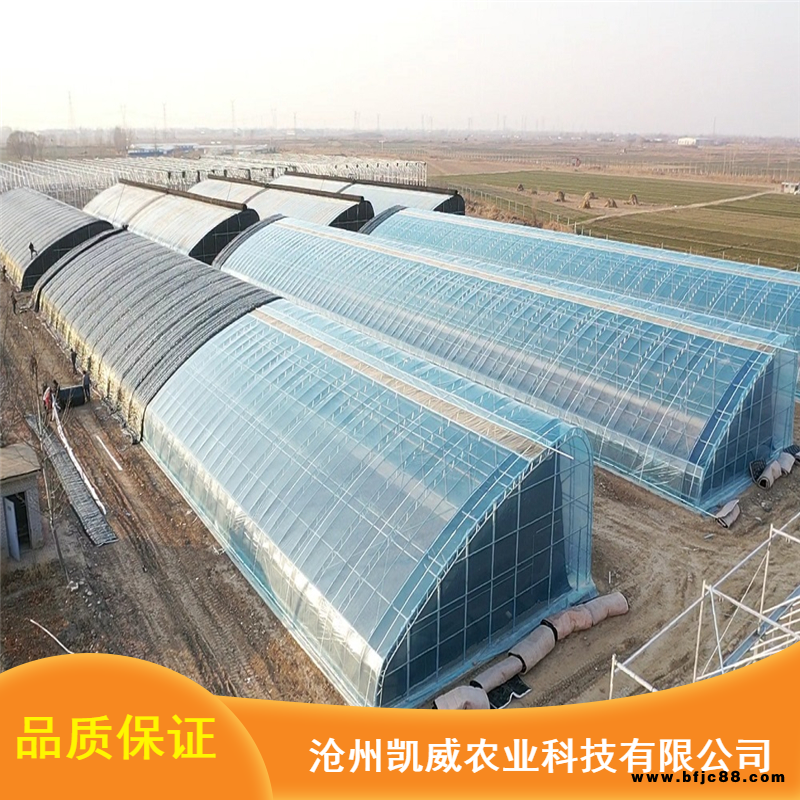 多規(guī)格雙膜骨架溫室雙膜骨架Q235B鋼材雙膜骨架市場價(jià)格