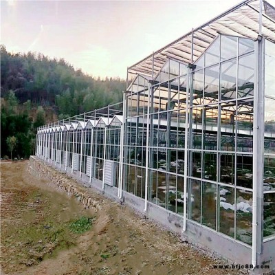 雙膜餐飲鋼結構大棚  養殖溫室生產定制   鞍山市雙膜溫室