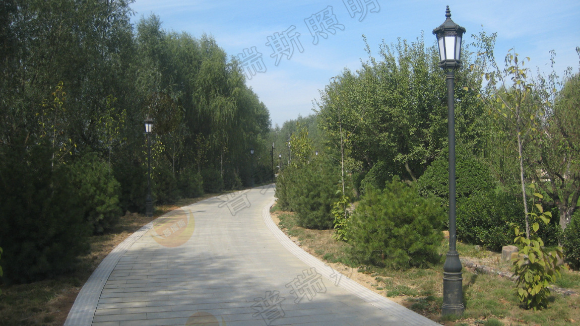 廠家供應 庭院燈 景觀燈 景觀美化燈具 草坪燈批發定制庭院燈示例圖3