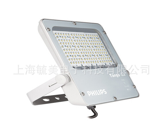 飛利浦BVP281投光燈 LED BVP281 80W泛光燈示例圖13
