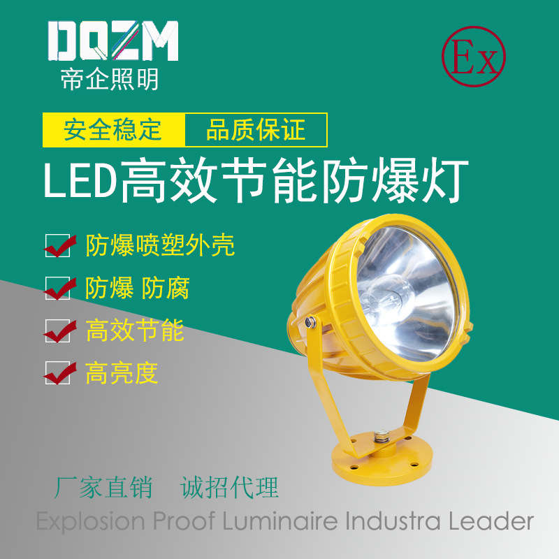 廠家直銷 帝企 DQFB181-I 防爆投光燈 防爆泛光燈 廠房燈示例圖1