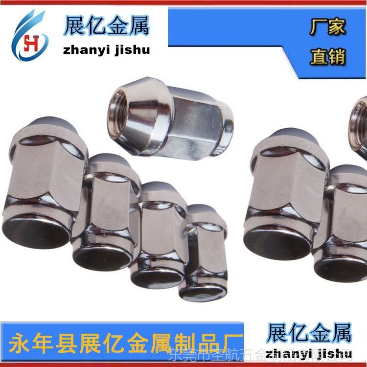 輪轂螺母，緊固件，輪轂螺帽，異形件，輪轂螺栓，輪轂螺絲 4