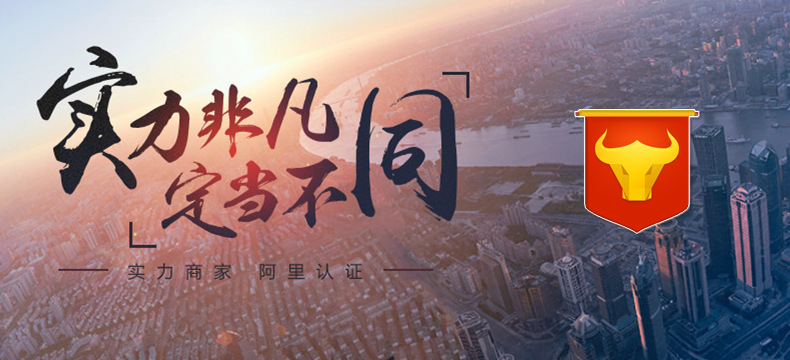 批發(fā)正品Smare/十鎂TF卡內(nèi)存卡8g16GB記錄儀SD卡32g高速64g示例圖1