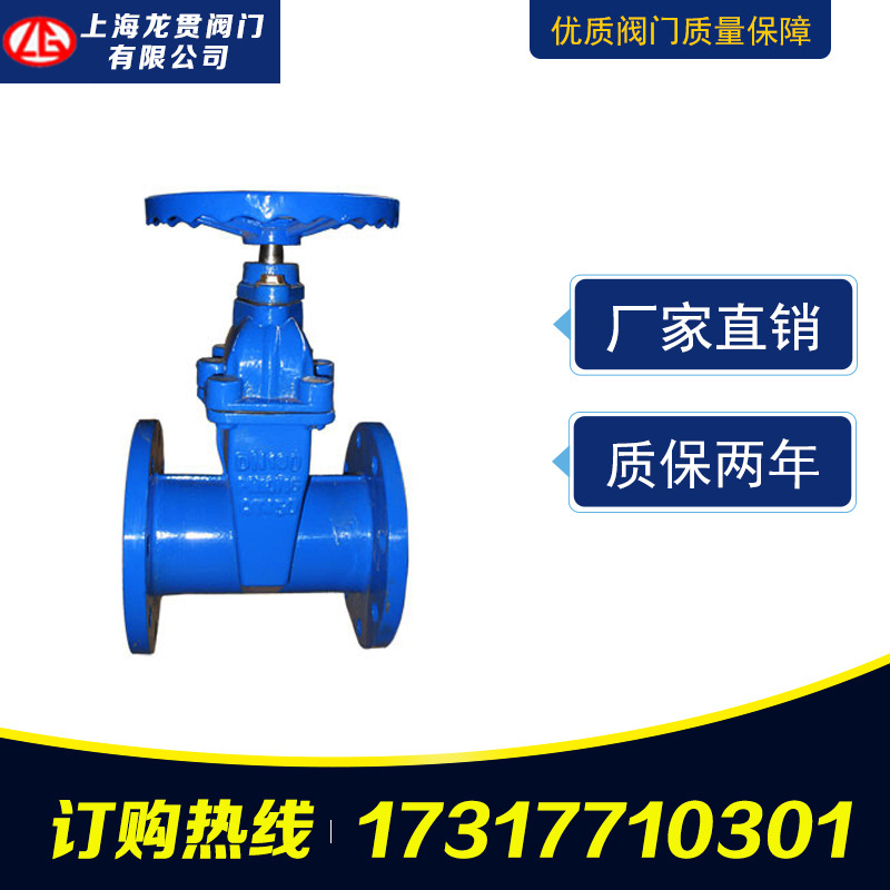 廠家直銷 贛瑪體鑄鐵閘閥 法蘭軟密封閘閥 Z41X明桿彈性座封閘閥示例圖5