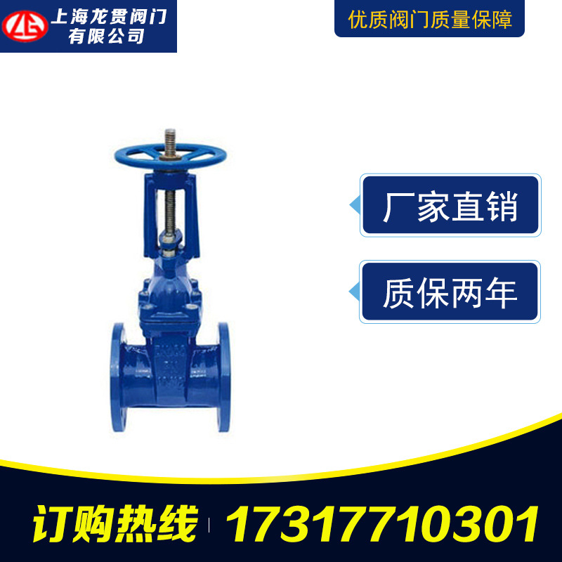 廠家直銷 贛瑪體鑄鐵閘閥 法蘭軟密封閘閥 Z41X明桿彈性座封閘閥示例圖4