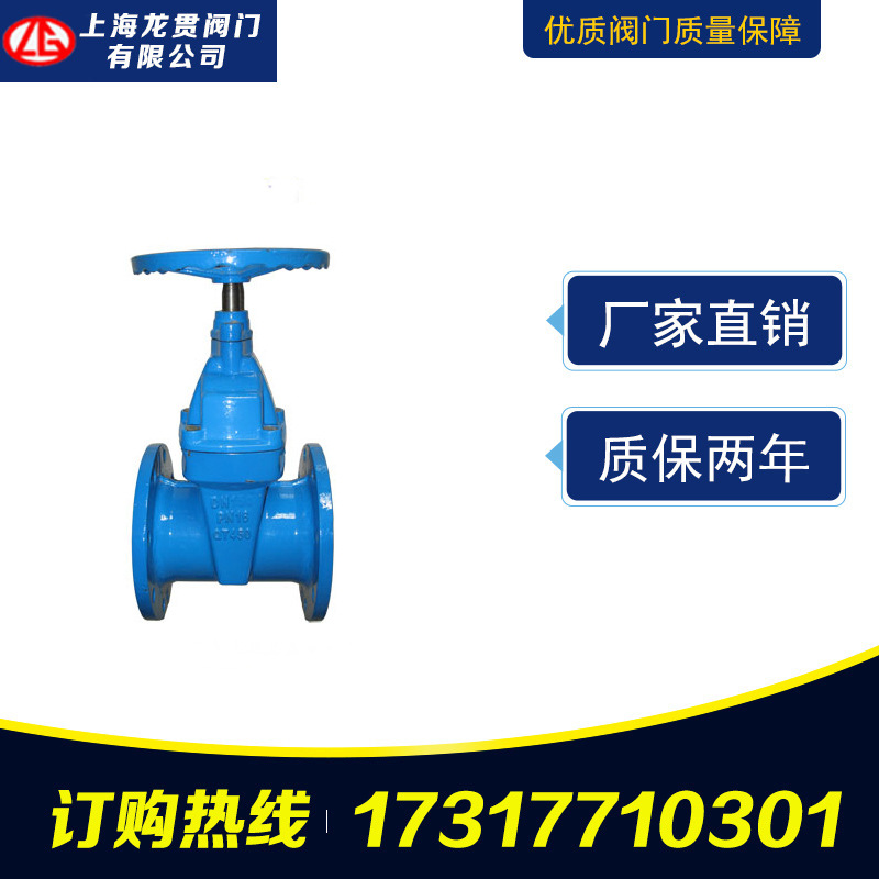 廠家供應鑄鐵軟密封法蘭閘閥 Z45X暗桿彈性座封閘閥 大體示例圖4