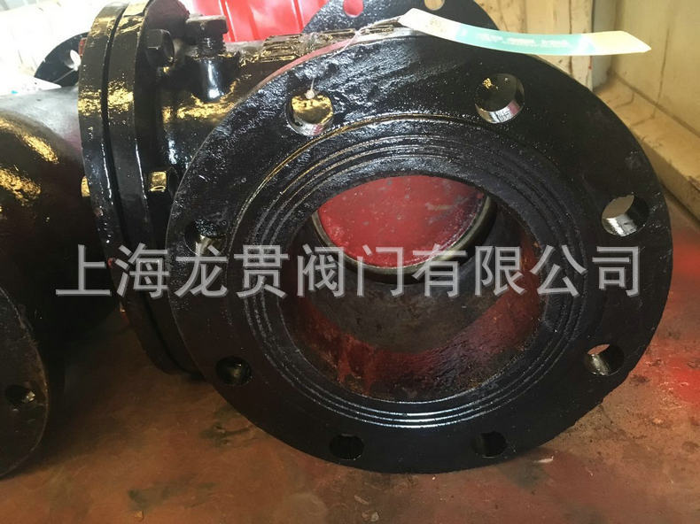 H44T旋啟式止回閥 鑄鐵旋啟式法蘭止回閥 單向逆止閥示例圖6