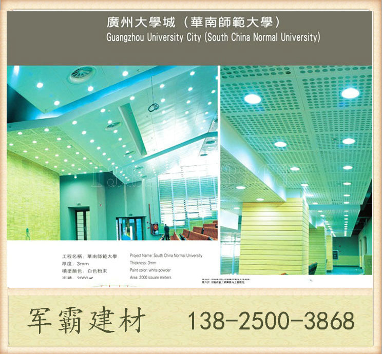 廣州廠家優質木紋鋁單板 進口氟碳鋁單板 聚酯漆粉末鋁單板示例圖10
