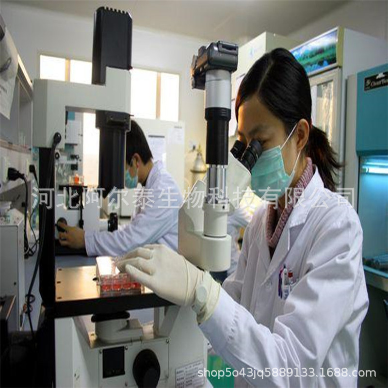 阿爾泰廠家直銷7-酮基去氫表雄酮C19 H26 O3可1kg包裝示例圖3