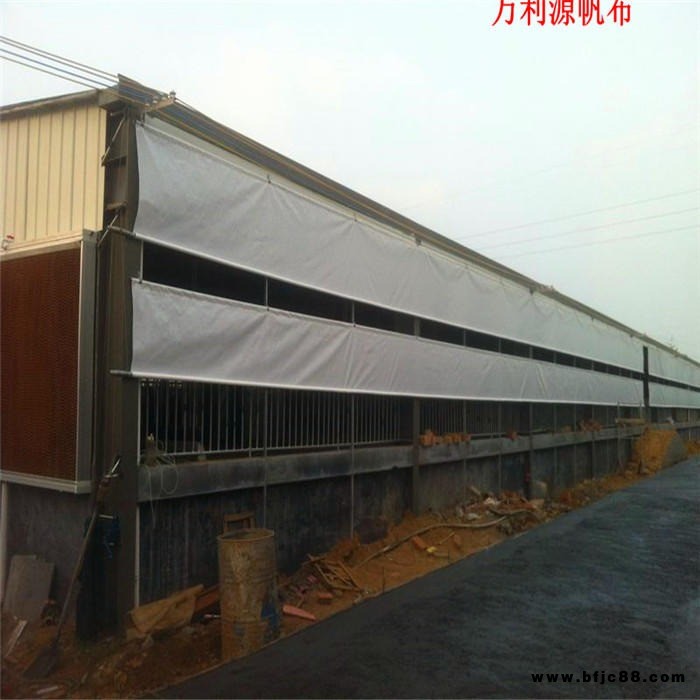 廠家生產(chǎn)養(yǎng)殖卷簾防水布油布篷布批發(fā)-加工豬場(chǎng)擋簾布-養(yǎng)鴿場(chǎng)防風(fēng)布-牛場(chǎng)側(cè)簾優(yōu)惠促銷