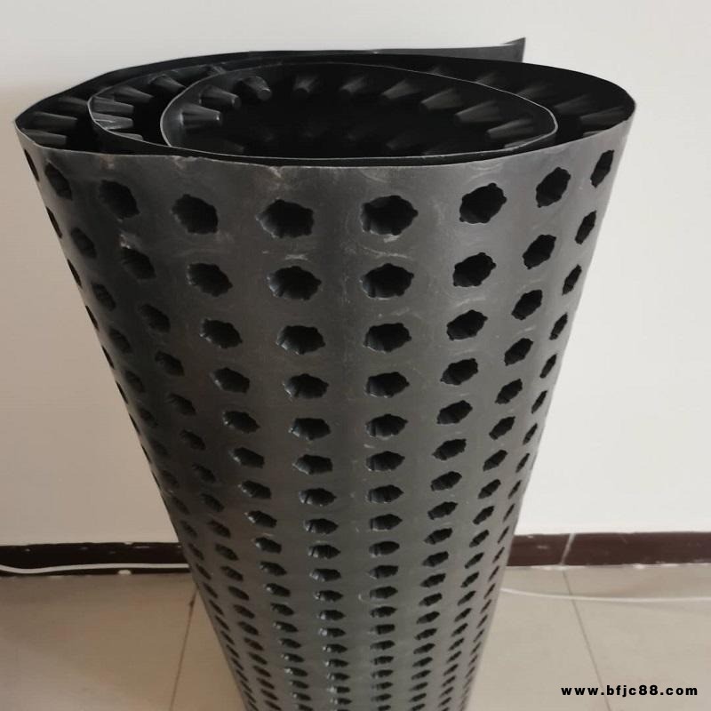 鼎諾排水板卷材生產(chǎn)廠家 長年供應(yīng)屋面防水卷材 頂板防水卷材