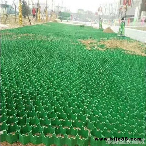 東莞HDPE塑料植草格 草坪格 飛機(jī)場(chǎng)高爾夫球場(chǎng)停車場(chǎng)小區(qū)綠化帶專用磚
