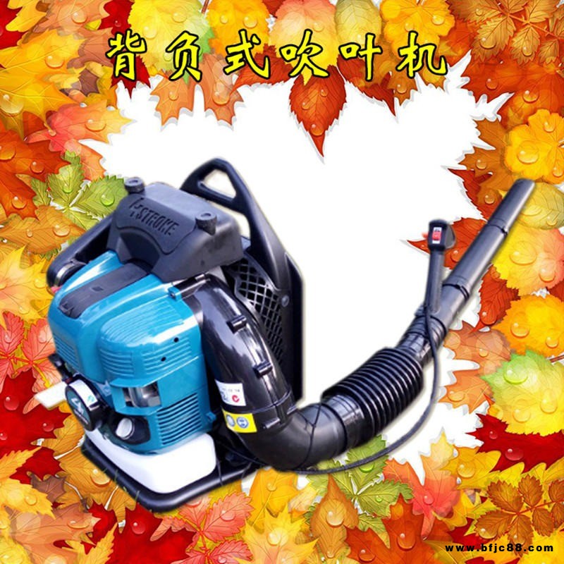 城市道路清潔吹灰機(jī) 砂石路面清掃吹風(fēng)機(jī)品牌 汽油樹葉吹吸機(jī)價(jià)格