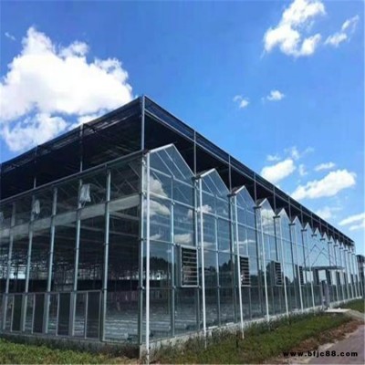 廣州玻璃鋼溫室大棚 吊袋木耳大棚建造公司  旭航溫室工程建設(shè)廠家