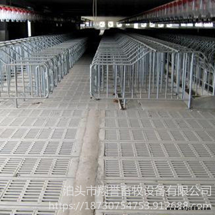 淮北 鋼板定位欄 鋼板限位欄 帶10個母豬鋼板食槽 翔譽