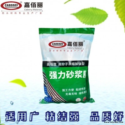 砂漿伴侶 嘉佰麗強力砂漿膠 多用途粘結度強