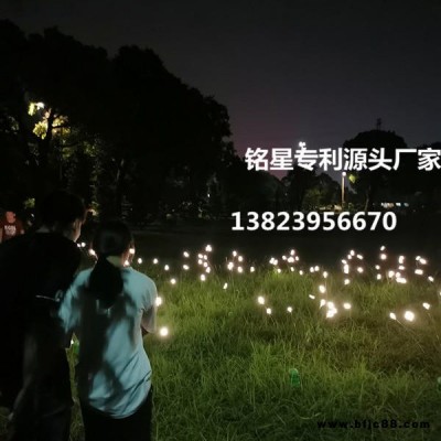 廠家定制 夜景燈 螢火蟲燈LED景觀燈 銘星燈飾 戶外防水燈 價格優(yōu)惠 LED草坪燈 銘星燈飾