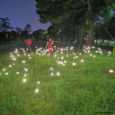 led發光螢火蟲燈動態搖擺螢火蟲草坪燈 戶外裝飾公園氛圍燈景觀燈